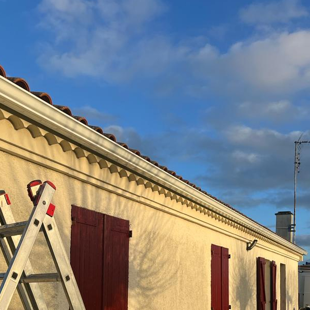 Gouttieres saint Denis de pile